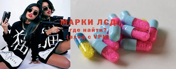 стаф Новодвинск