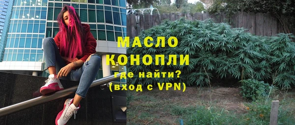 стаф Новодвинск