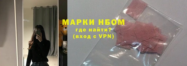 стаф Новодвинск