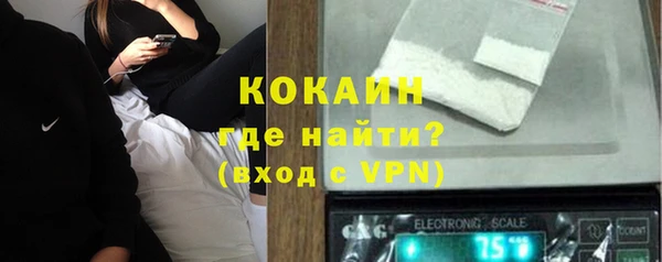 стаф Новодвинск