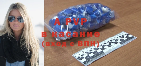 стаф Новодвинск