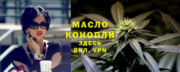стаф Новодвинск
